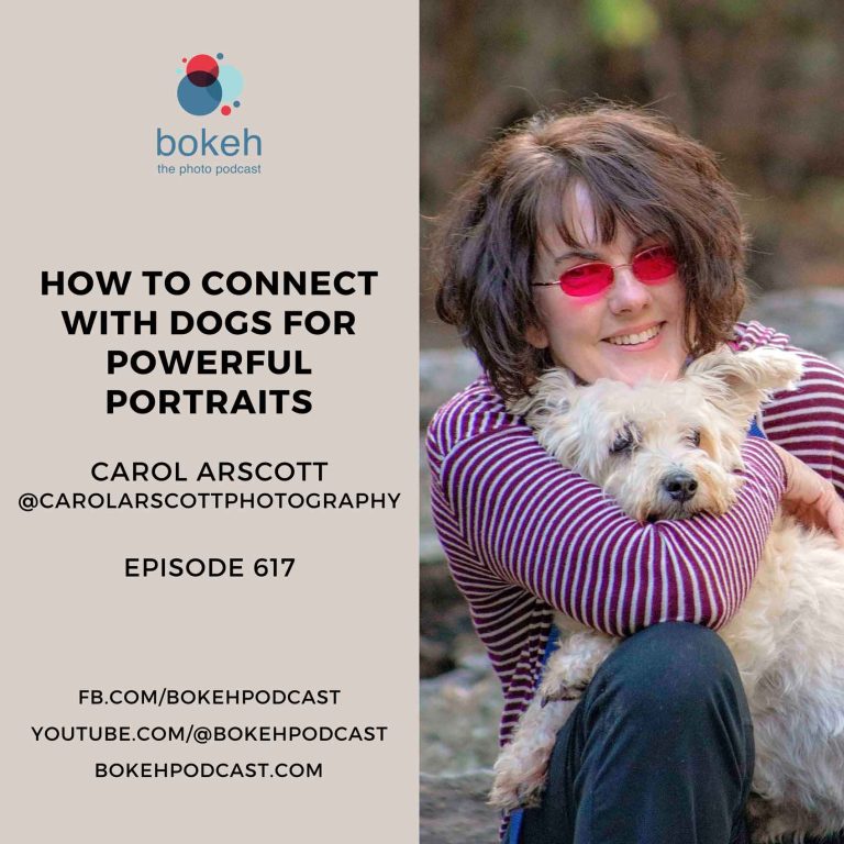 Pet portraits